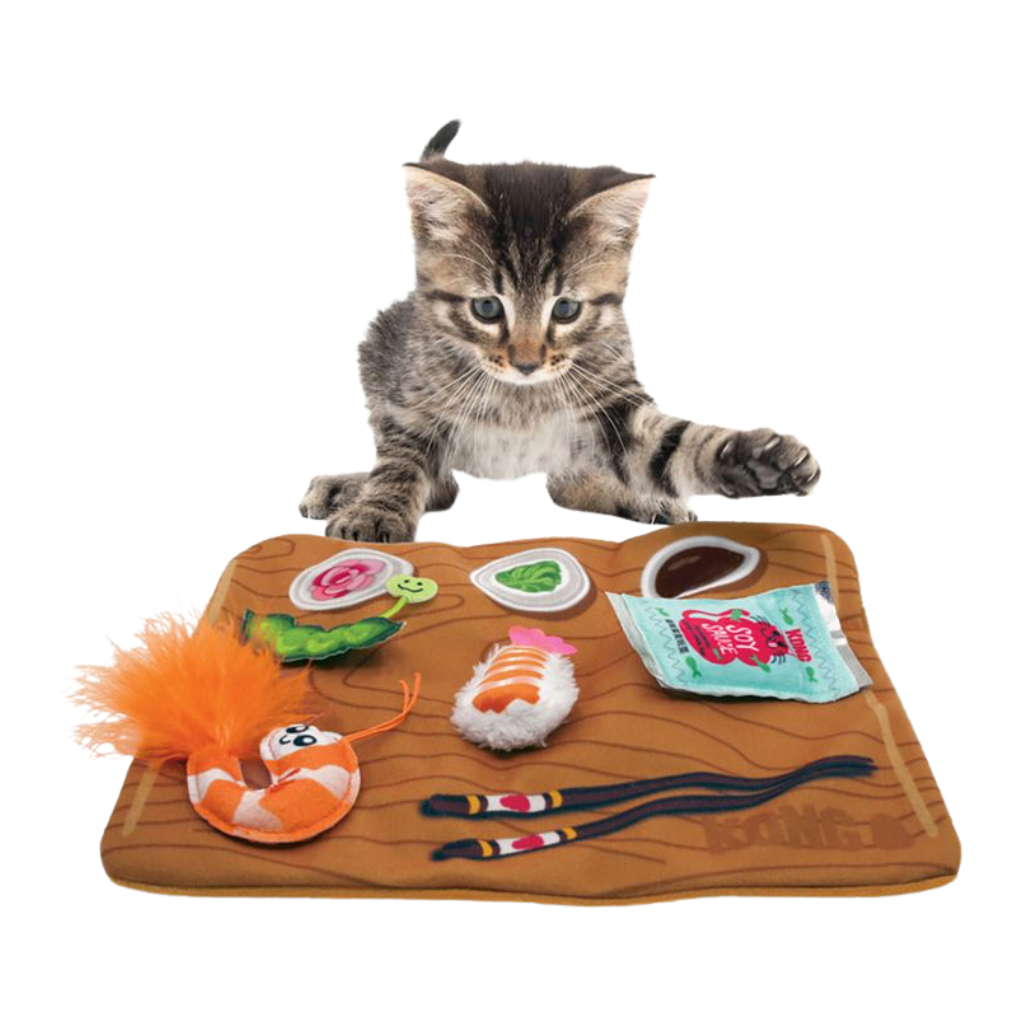 KONG - PULL-A-PARTZ SUSHI 