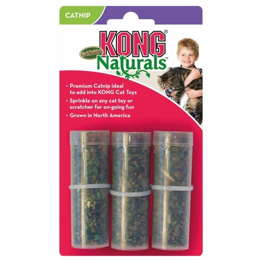 [397615] Kong - Herbe à chat